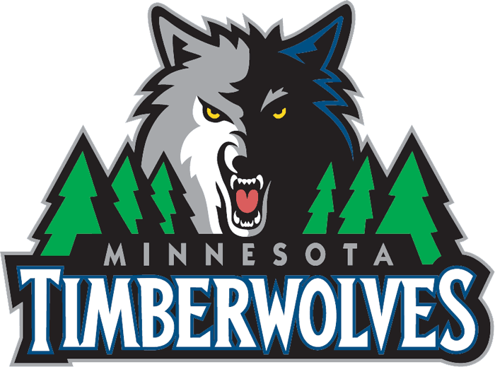 Minnesota Timberwolves 2008-2016 Primary Logo t shirts DIY iron ons